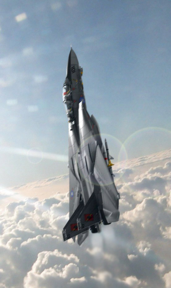 F-14s-21.jpg